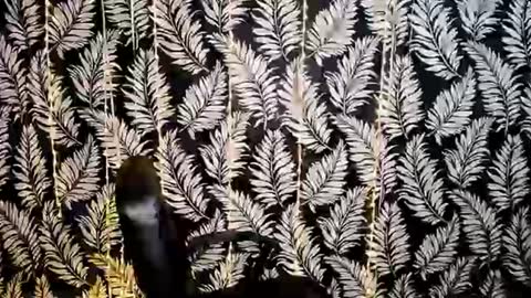 Snapshot of oliviaoskar_ chatting on July 24, 2026, 2:04 pm Kelly online show from July 24, 2026, 2:04 pm