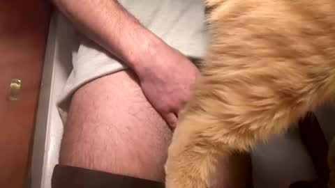 onedayonedollar online show from February 25, 2025, 12:34 pm