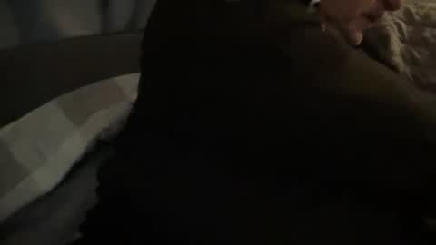 Snapshot of onthedlhere chatting on December 24, 2024, 12:00 am onthedlhere online show from December 24, 2024, 12:00 am