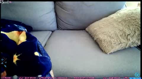  OF - Ooh 69sweet SNAP4LIFE OFFLINE  899 normal  VIP 1369 outside  online show from June 27, 2026, 2:34 pm
