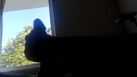 ootripoo online show from September 19, 2025, 6:52 pm