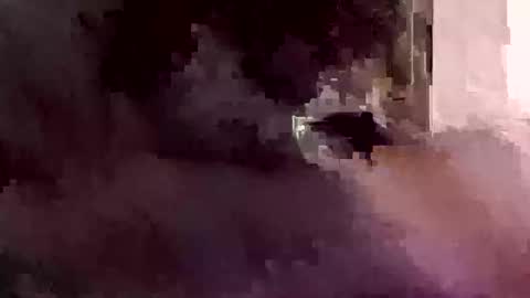 Foryourdick online show from January 12, 2026, 7:46 am