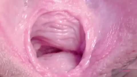 orchidekitty online show from March 6, 2026, 9:11 pm