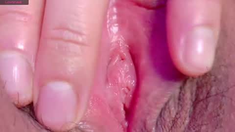 orchidekitty online show from April 30, 2026, 9:08 pm