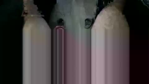 Snapshot of orgybargy69 chatting on November 19, 2025, 7:03 pm ORGYBARGY69 online show from November 19, 2025, 7:03 pm
