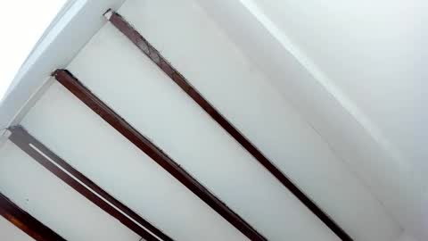 Snapshot of oriana_guzman chatting on January 29, 2025, 5:45 pm Miss Guzman online show from January 29, 2025, 5:45 pm