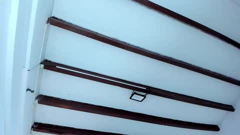 Snapshot of oriana_guzman chatting on February 6, 2025, 12:16 pm Miss Guzman online show from February 6, 2025, 12:16 pm