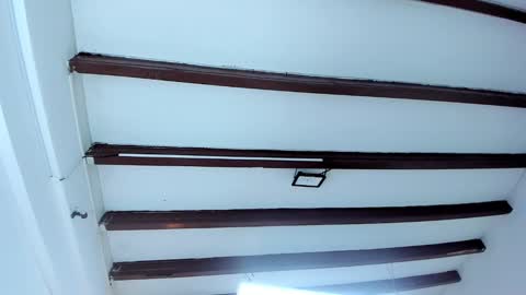 Snapshot of oriana_guzman chatting on February 9, 2025, 2:28 am Miss Guzman online show from February 9, 2025, 2:28 am