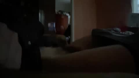 Snapshot of originreal chatting on December 16, 2025, 9:58 am originreal online show from December 16, 2025, 9:58 am