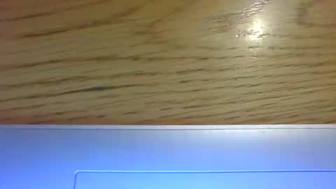 ornytologist online show from January 1, 2025, 1:48 pm