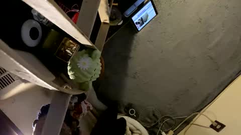 Snapshot of oyeblancki chatting on January 3, 2025, 4:22 am CoCreatorBlancki online show from January 3, 2025, 4:22 am