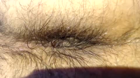 pack2 online show from March 1, 2026, 12:18 pm