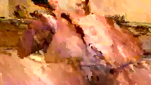 Snapshot of packinthebeef chatting on June 15, 2026, 3:36 pm jack online show from June 15, 2026, 3:36 pm
