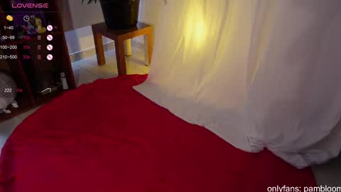     online show from March 8, 2025, 6:05 pm