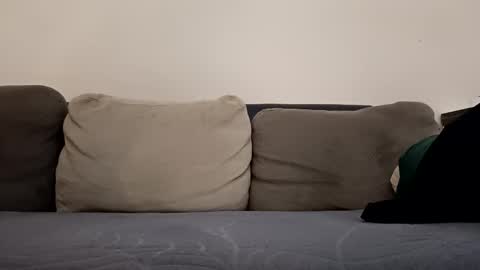 angel hris online show from October 12, 2025, 3:33 pm