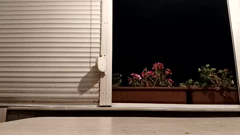 angel hris online show from November 4, 2025, 5:34 pm