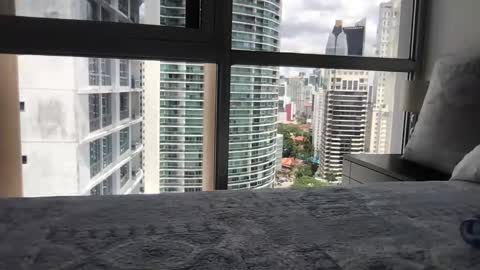 Snapshot of paradise_bird01 chatting on March 15, 2026, 5:30 pm Paradise Bird01 online show from March 15, 2026, 5:30 pm