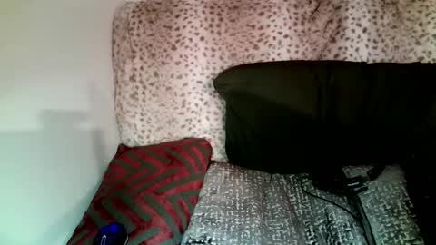 Snapshot of parlaytellio chatting on January 11, 2025, 11:56 pm Parlay Tellio online show from January 11, 2025, 11:56 pm