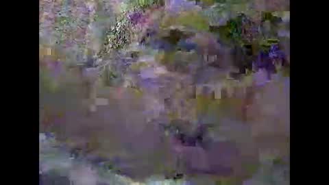 Snapshot of pascalo06 chatting on February 3, 2026, 12:32 pm anytimeuwant online show from February 3, 2026, 12:32 pm
