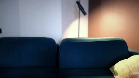 Snapshot of pashka_x chatting on May 31, 2026, 11:17 am Pashka online show from May 31, 2026, 11:17 am