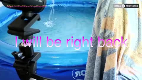 Snapshot of passiva697 chatting on February 1, 2026, 1:42 pm Dome Passiva697 online show from February 1, 2026, 1:42 pm