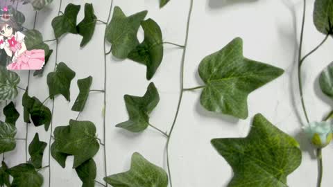 Snapshot of pau_delima__ chatting on December 23, 2024, 2:56 am paulina online show from December 23, 2024, 2:56 am