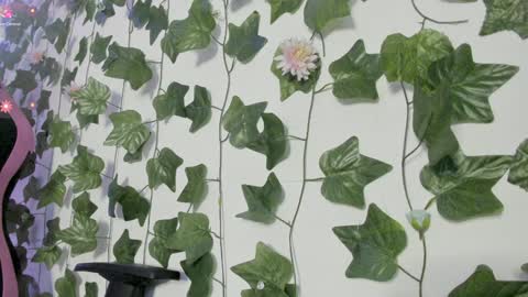 Snapshot of pau_delima__ chatting on January 8, 2025, 12:49 am paulina online show from January 8, 2025, 12:49 am