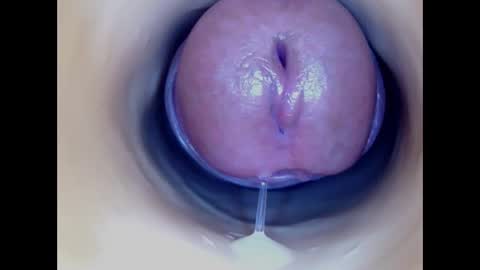 Paula 18 Aninhos online show from January 7, 2026, 12:02 am