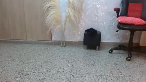 Snapshot of paulina_rubio_ chatting on December 7, 2024, 10:17 pm Paulina Rubio online show from December 7, 2024, 10:17 pm