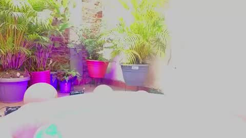 Snapshot of paulina_sodi chatting on June 19, 2026, 7:39 pm Paulina online show from June 19, 2026, 7:39 pm