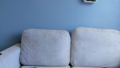 Paul Phoenix online show from January 2, 2025, 6:12 pm