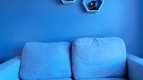 Paul Phoenix online show from October 5, 2025, 8:07 pm