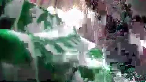 Coco channel  online show from December 24, 2024, 6:22 am