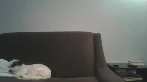 paybarbi online show from January 16, 2026, 5:33 am