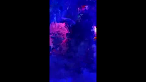 penrodscott7 online show from March 18, 2026, 11:24 am