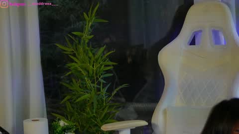 Snapshot of perfectt33n chatting on December 4, 2024, 9:18 am Dee online show from December 4, 2024, 9:18 am