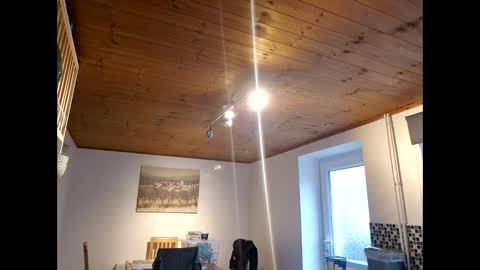 pete_le_meat online show from March 12, 2026, 12:22 pm