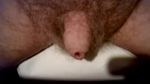 peterpeteropoulos online show from October 24, 2025, 6:37 pm