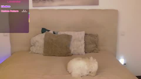 Snapshot of petersemily chatting on September 14, 2025, 10:20 pm Peters Emily online show from September 14, 2025, 10:20 pm