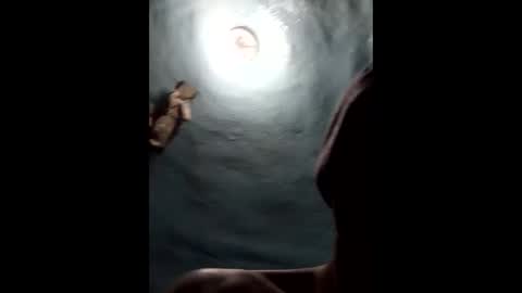 9072523824 online show from January 19, 2025, 4:46 pm