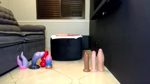 petsexboy online show from June 2, 2026, 3:41 am