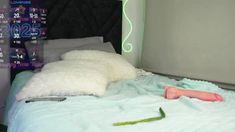 Pettercat online show from January 9, 2025, 4:30 am