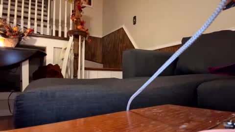 Snapshot of phatassblond chatting on September 26, 2025, 3:32 am PhatAssBlond online show from September 26, 2025, 3:32 am