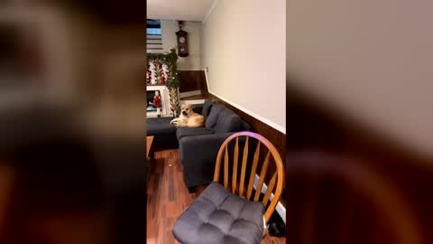 Snapshot of phatassblond chatting on December 15, 2025, 3:05 pm PhatAssBlond online show from December 15, 2025, 3:05 pm