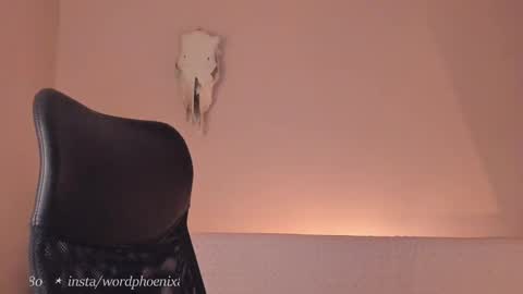 phoenixx_x online show from December 28, 2024, 10:02 pm