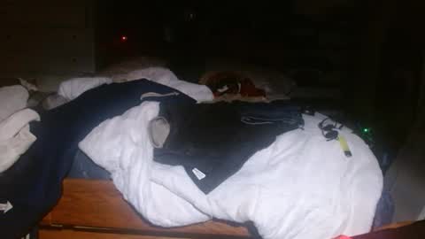 Snapshot of picklerick650 chatting on November 2, 2025, 2:25 am picklerick650 online show from November 2, 2025, 2:25 am