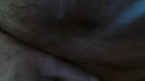 Snapshot of pillio3 chatting on February 23, 2025, 2:04 pm Pit online show from February 23, 2025, 2:04 pm