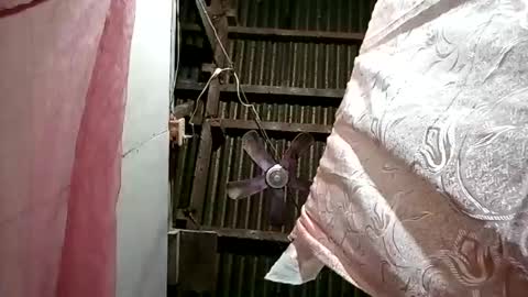 Snapshot of pinaybobs chatting on March 2, 2026, 8:48 pm pinaybobs online show from March 2, 2026, 8:48 pm