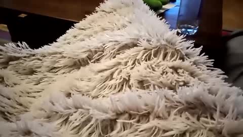 Antn online show from February 9, 2025, 6:33 am