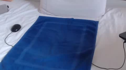 Snapshot of playuall chatting on December 19, 2024, 11:29 am Steve online show from December 19, 2024, 11:29 am